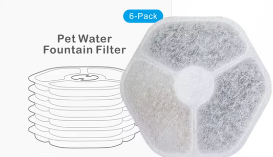 6 Pack Filter